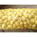 Shandong Tengzhou produserer organiske holland friske poteter